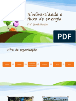 Biodiversidade e Fluxo de Energia(1)