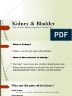 Kidney and Bladder