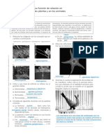 La Función de Relación en Las Plantas y en Los Animales: Recuerda