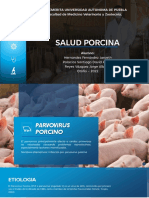 Salud Porcina Parvovirus PDF
