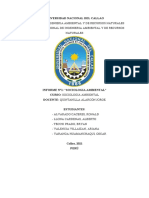 GRUPO 1 - INFORME TECNICO N°1 - SOCIOLOGIA AMBIENTAL