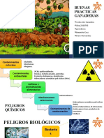 Buenas Practicas Ganaderas: - Producción Ganadera - Ficha:2340793 - Aprendices: - Alexandra Cruz - Alvaro Hernandez