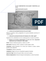 Lea La Lectura de Los Componentes Celulares y Responda Las Siguientes Preguntas