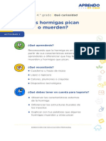 Aec2 Primaria 3y4 Seguimosaprendiendo Que Curiosidad Recurso 4 Las Hormigas Pican o Muerden