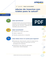 Aec2 Primaria 3y4 Seguimosaprendiendo Que Curiosidad Recurso 5 Las Picaduras de Insectos Son Perjudiciales para La Salud