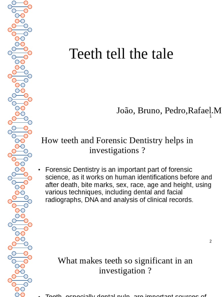 Forensic Dentistry: Teeth in Investigations | PDF