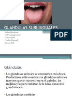 Glandulas Sublinguales