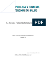 Historia Natural Enfermedad