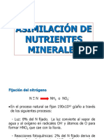 Capitulo #3 - Asimilacion de Nutrientes Minerales