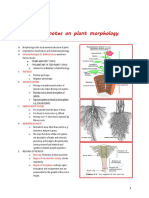 Plant Morphology 2020