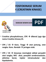 CK (Creatinin Kinase)