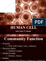 Human Cell