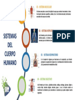 Infografia 3