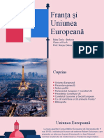 Proiect - Franta Si UE