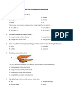 Kelas 8 SISTEM PENCERNAAN MANUSIA