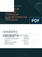 Kelompok 3 - Pengaruh Patogen Pada Fisiologi Tanaman