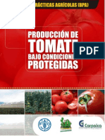 Producción de Tomates Bajo Condiciones Protegidas