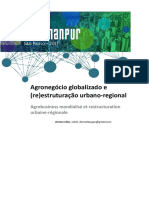 Agronegócio Globalizado e Reestruturação Urbano-Regional