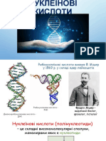 09. Нуклеїнові кислоти