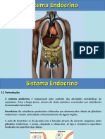 Sistema endócrino e suas principais glândulas