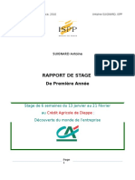 Rapport de Stage: de Première Année