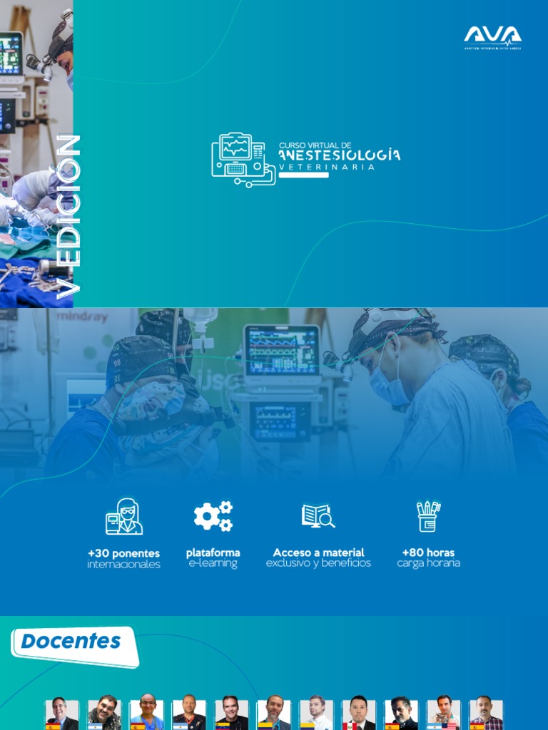 Brochure V Edición Ava Perú Pdf Pdf Tratamientos Médicos