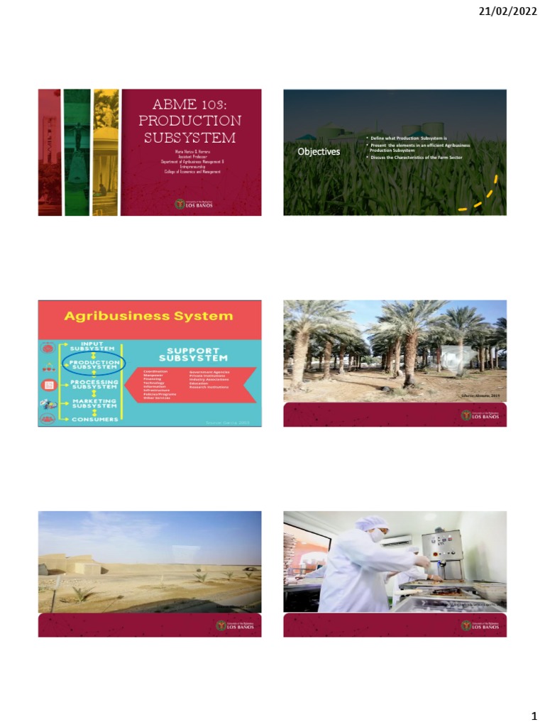 Agribusiness Production Subsystem Overview | PDF | Farms | Agriculture