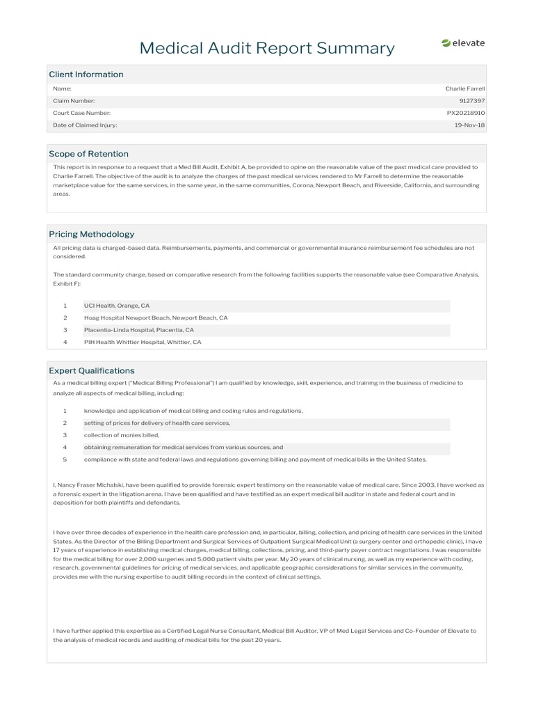 medical-audit-report-summary-client-information-pdf-nursing