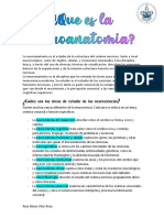 Neuroanatomía: Estudio de la estructura del sistema nervioso