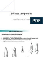 Anatomía Dentaria Temporales Incisivos