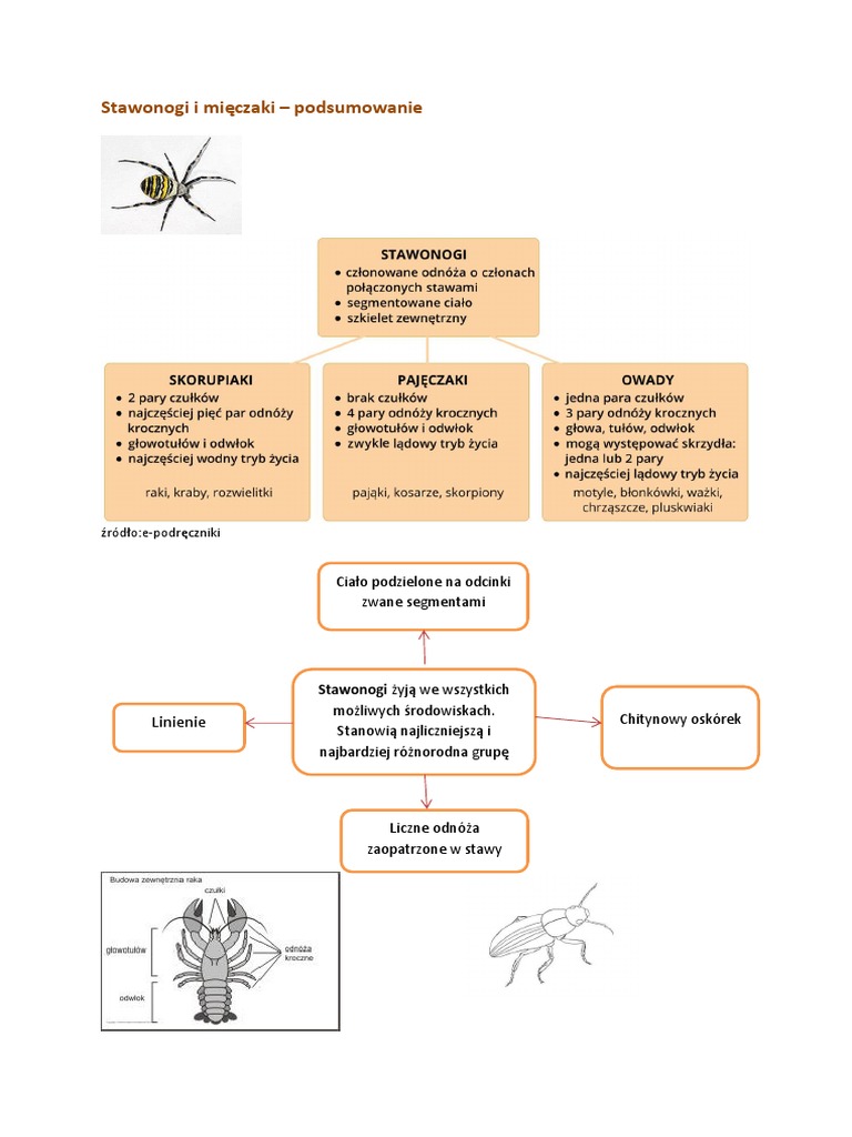 Stawonogi I Mięczaki Klasa 6 FW - Biologia - 6d - e - Stawonogi I Mięczaki 30.03.2020 | PDF