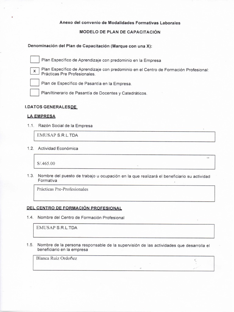 Modelo Plan de Capacitacion | PDF