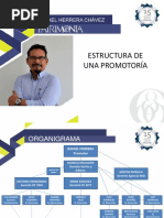 Estructura de Una Promotoría - Rafa Herrera MID