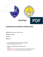 Sistema Cardiovascular