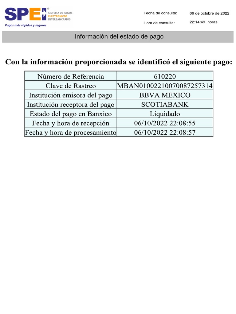 Reporte Estado de Pago | PDF | Finanzas y dinero