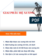 Bài 2 Giải Phẫu Hệ Xương Khớp