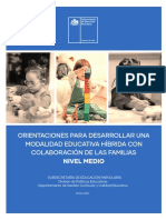 Orientaciones Trabajo Nivel Medio 05.07.2021