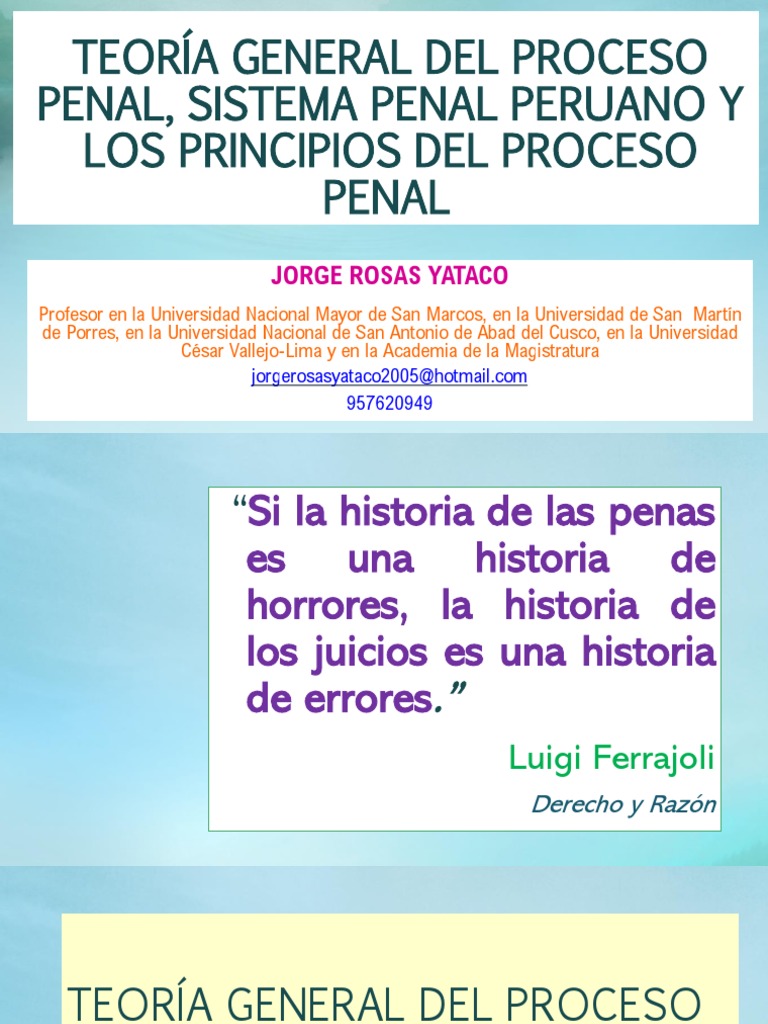 La Estructura Del Nuevo Proceso Penal | PDF | Ley procesal | Derecho penal
