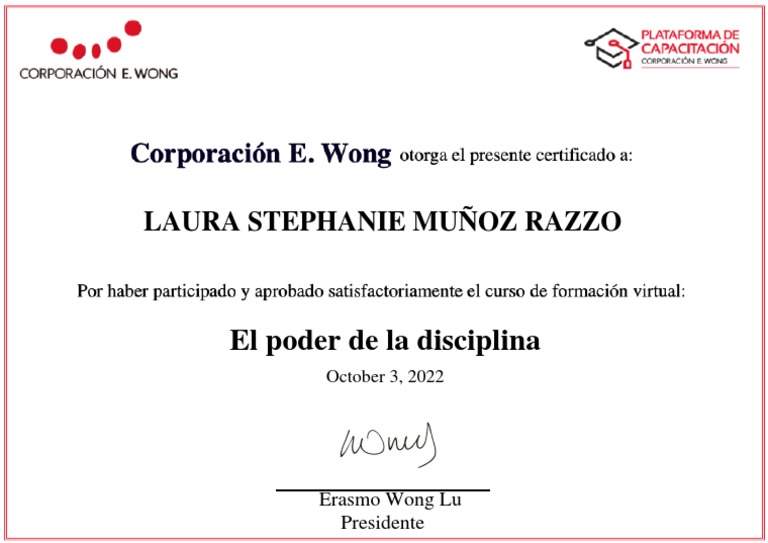 El Poder de la Disciplina - Laura Muñoz | PDF | Social Science