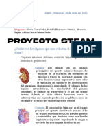 Proyecto Steam