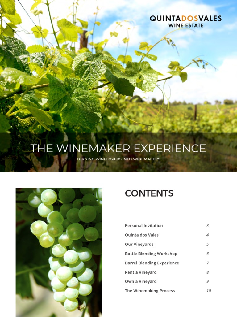 The Winemaker Experience EN 07LK31052019 PDF Winemaking Wine