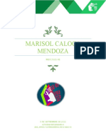 CalocaMendoza - Marisol - M10S2AI4