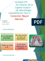 Rehabilitacion Oral 2 Expo Conectores Mayores