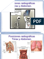 Torax y Abdomen