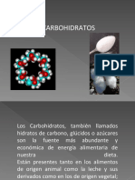 Hidratos de Carbono