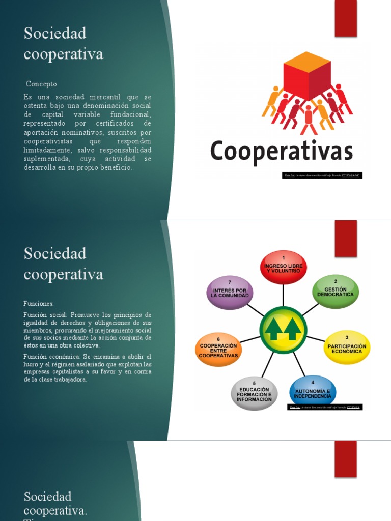 Sociedad Cooperativa 1 | PDF | Cooperativa | Sociedad de ...