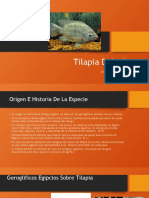 Exposicon Tilapia Nilotica