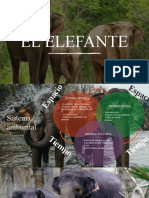 El Elefante