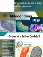 Seminario de Biologia