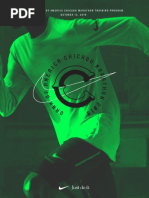 NIKE CHICAGO MARATHON TRAINING PLAN PDF visual data 4